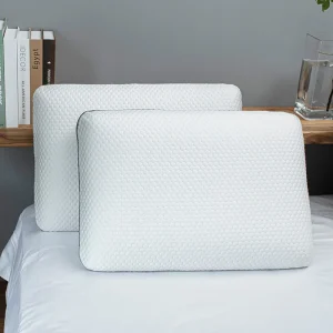 OEM Customizable Orthopedic Cervical Support Pillow Ergonomic Contour Slow Rebound Foam Memory Foam Anti-Bacteria Pillow Silk