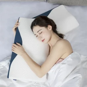 Memory Foam Pillow 1