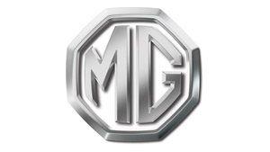mg